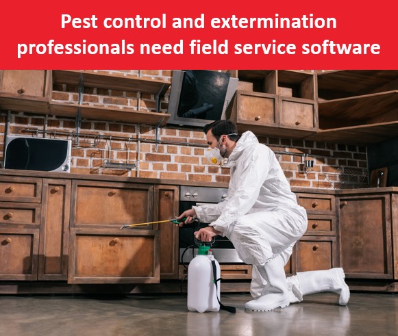 blog-pest-control