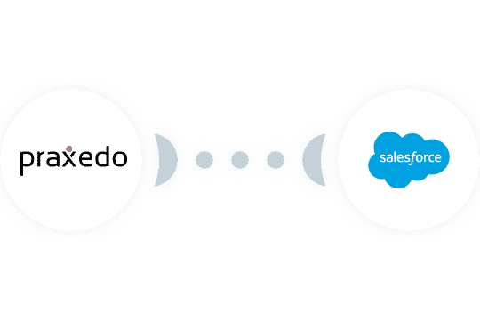 schema salesforce