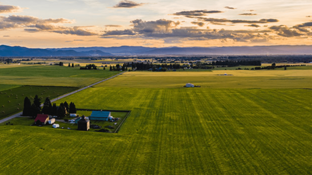 How Celerity Optimized Scheduling for Rural Service Calls with Praxedo